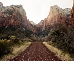 brianflaherty:  Zion National Park, UT 