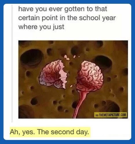 advice-animal:My brain during schooladvice-animal.tumblr.com