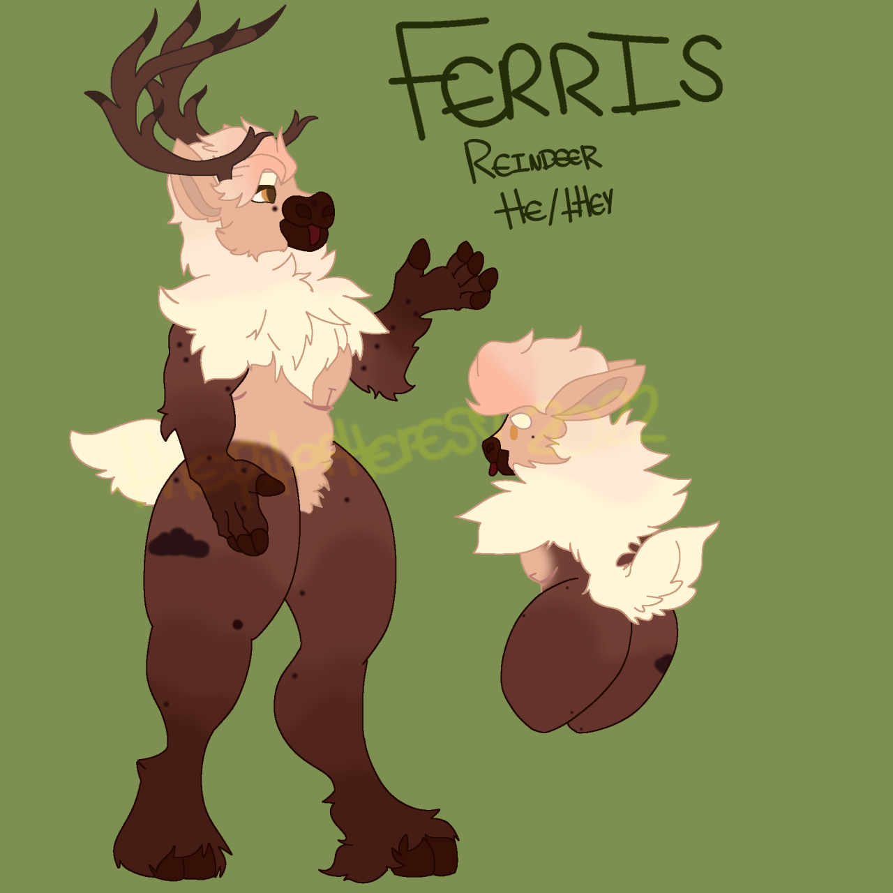 [image id: An anthropomorphic caribou character named Ferris standing in front of a matcha green background. He’s a tall, large fluffy figure. He has light peach fur styled in a short, curly mohawk at the top of his head that starts as a darker rose gold color at the roots then quickly fades the further it goes down his back, eventually ending in a fluffy short tail. Ferris’ face, chest and belly are a soft cream color, whereas the rest of his body is a brown color that fades darker to his extremities. His hooves and the tips of his fingers on both of hands are dark brown, as are his muzzle and lips. Ferris has large dark brown antlers shaped like a crescent. He has a dark brown blob birthmark on his left upper thigh shaped like a cloud, and he has many dark brown beauty marks scattered across his body in various spots on his face, arms, thighs and legs. Ferris is sticking his tongue out, and has golden colored eyes. On his chest, Ferris has thin inverted T scars under his pecs. /end ID]Meet Ferris! He’s a Caribou. He has a naturally sweet, kind and loyal disposition, and is a bit of a himbo. You wouldn’t guess that by night he works as a thief stealing from rich people, though. He’s also a clubber and loves going to raves. Despite being a little shy, he does like making friends.  He also has a little bit of a sweet tooth.  #ferris the caribou #caribou#reindeer#furry#anthro#my aert#fursona#furry oc#my art#text posting