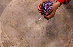 mizoguchi:  The Color of Paradise/Rang-e Khodā/ رنگ خدا (Majid Majidi - 1999)