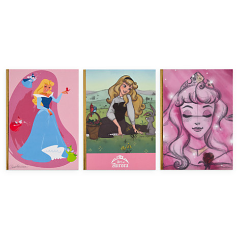 stevethompson-art:  The “Art of Aurora” Collection - Disney Store  I’ve been wanting to post about this mini collection for so long, and now I finally can! Out today at the Disney Store. I created artwork, a snow globe and ornament set to help