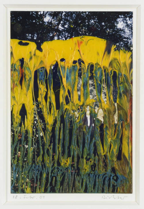 contemporary-art-blog:Gerhard Richter, 18. Febr. 01 (Park), 2001 Barbara Mathes Gallery