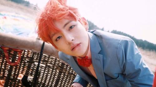 kimtaehyung-net: Applications are now open for KimTaehyung-Net - a network that appreciates Kim Taeh