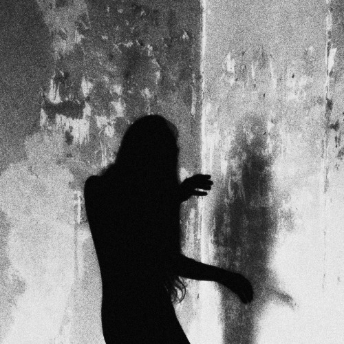  ©Philomena FamulokI can not hide but my shadows 
