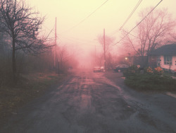 refinedmind:  Just before nightfall I decided to take a walk outside. The sky was low, enveloping any object in its reach. It formed a dull, purplish haze - like nothing I’d seen before. The streets were empty. Not a single soul was out. It was oddly