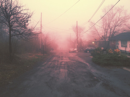 refinedmind: Just before nightfall I decided to take a walk outside. The sky was low, enveloping any object in its reach. It formed a dull, purplish haze - like nothing I’d seen before. The streets were empty. Not a single soul was out. It was oddly