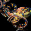ace-octopus