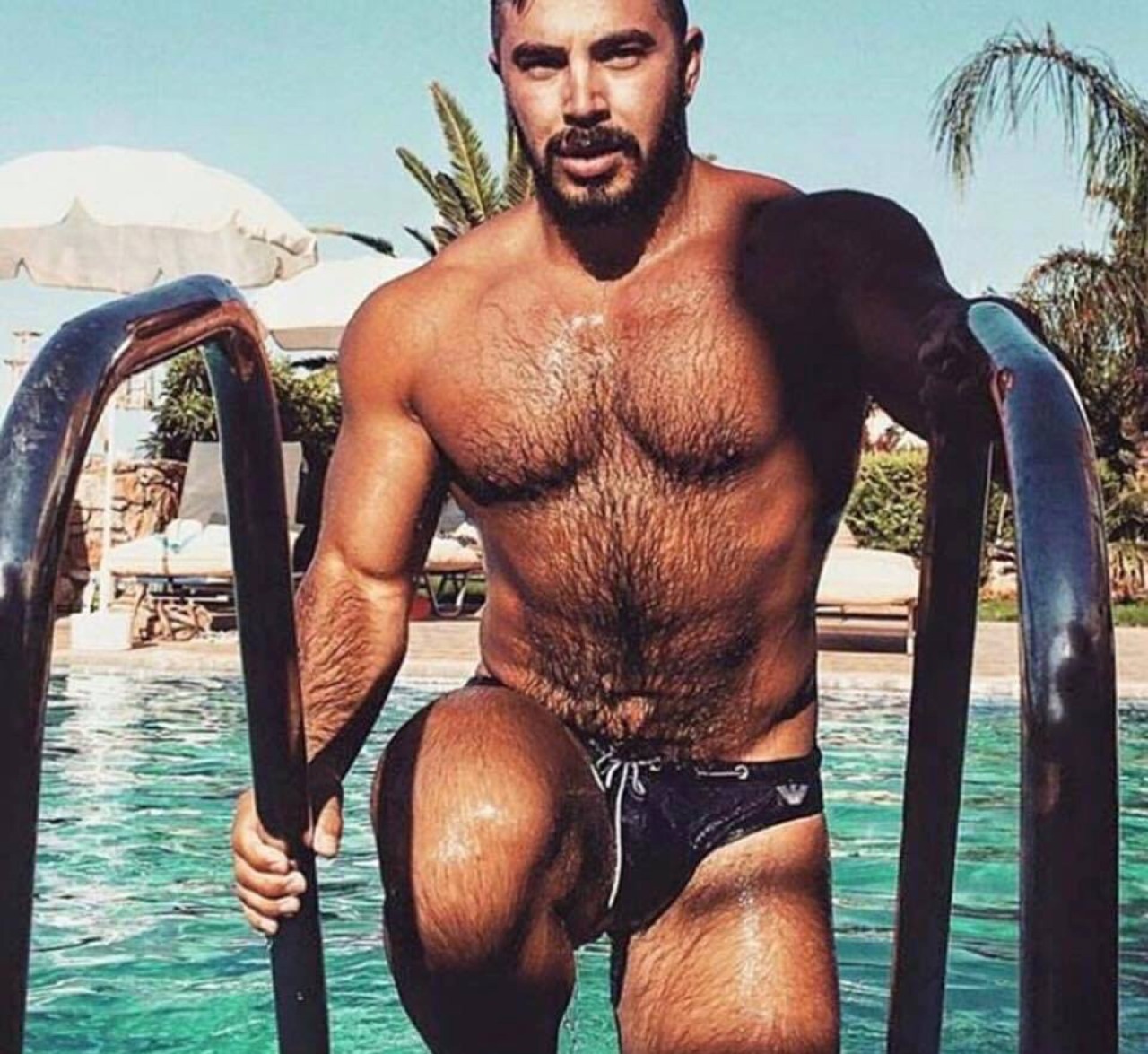 Furry Muscle Bears, Brute And Daddies