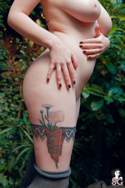 theperfectladies:  Moxi Suicide