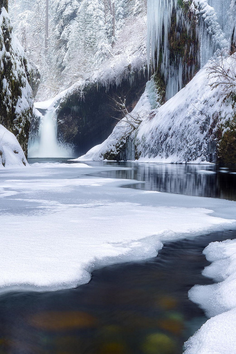 sublim-ature:  Eagle Creek Falls, OregonTJ Thorne 