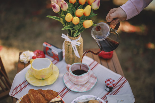 2022-03-27Spring, Camellia PicnicCanon EOS R3 + RF50mm f1.2LInstagram  |  hwantastic79vivid