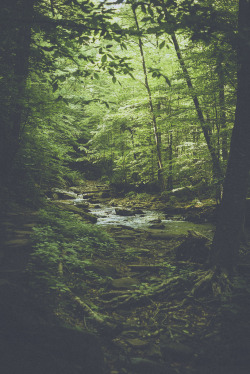 brutalgeneration:  into the glen (by Colin Gallagher) 