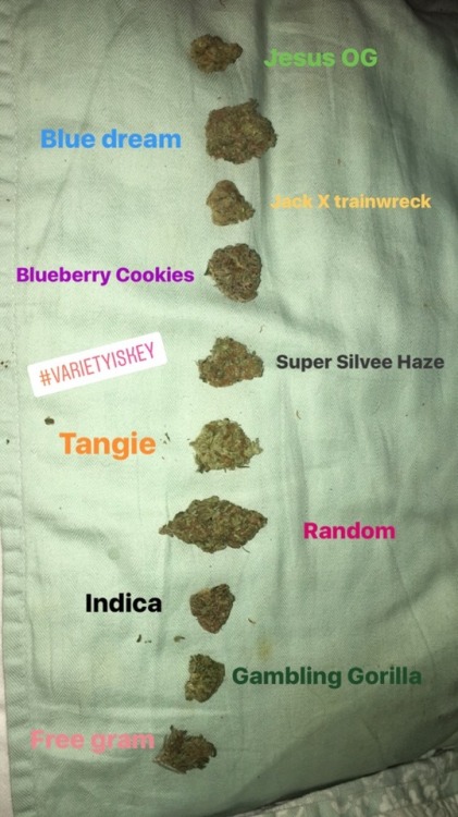 Variety is key