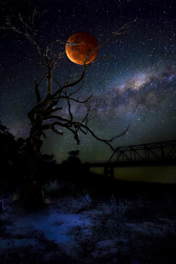 gyclli:  Presence by Mohammad Rahman / 500px Milky way and the blood moon. 