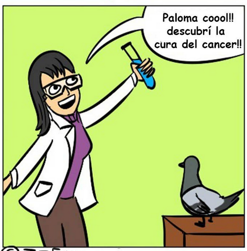 conchesumadres:  Aveces soy como la Paloma Cool