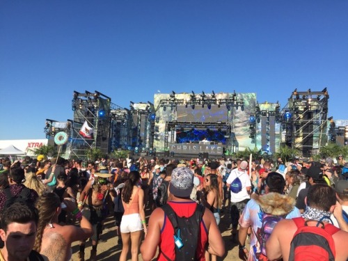 paradiso festival