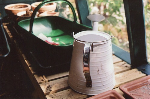 untitled by millie clinton. on Flickr.