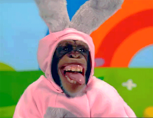 What’s the Easter Chimp gonna fling you this year?