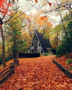 backwoodsarchitect:  witchyautumns:    lhackett   🍁 instagram   Not a fan of A-frames, but this one looks better than most; three levels make the most of the possible under-roof square footage. 