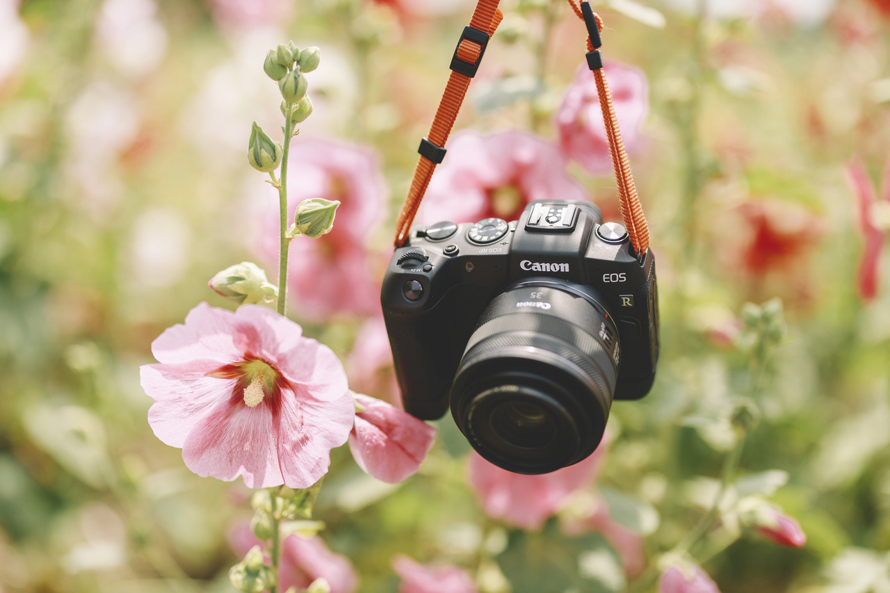boohwanj:2019-06-15