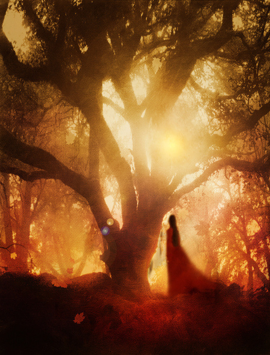 bestof-society6:  ART PRINTS BY VIVIANA GONZALEZAutumn Song.. Red feather dance Faith