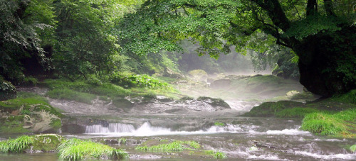 foggy stream at Kikuchi Keikoku in Kikuchi-shi Kumamoto-ken by itsuo.t