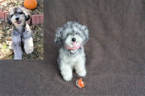 A needle felted poodle name &ldquo;Daisy&rdquo;. Based on the inset image. 