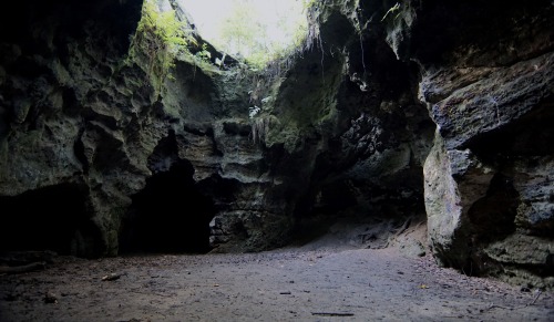 goodcopbearcop: Exploring Dames Caves Florida’s Bedrock is karst limestone, basically it is ex