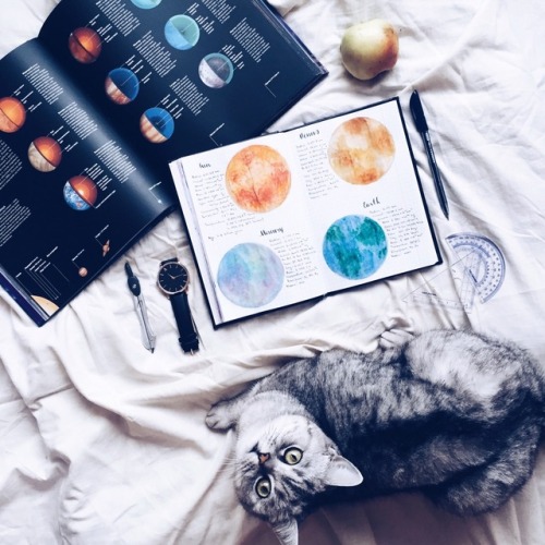 annes-studies:Solar system studies// pt. I|| Instagram