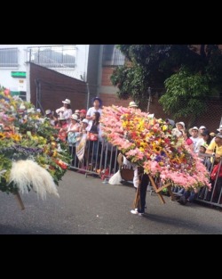 #feriadeflores2017 #desfiledelossilleteros