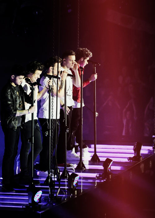 EVERYTHING IS ONE DIRECTION & NOTHING HURTS
