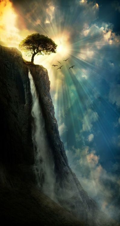 scentdelanature: Learn to Fly..