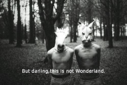 Welcome To My Wonderland... 