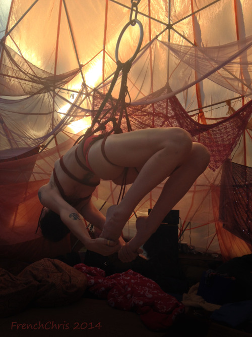 lilmissnatalie:  Suspension in The Knotley Crewe dome at Alchemy 2014. Photo and rigging by French Chris. lil miss natalie — professional submissive 