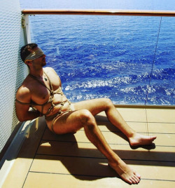 exploringbistuff:When I entered my stateroom and looked around I found a special “cruise treat” awaiting me on the balcony……..