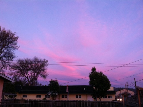 hllucinate:  the sky is so pretty 