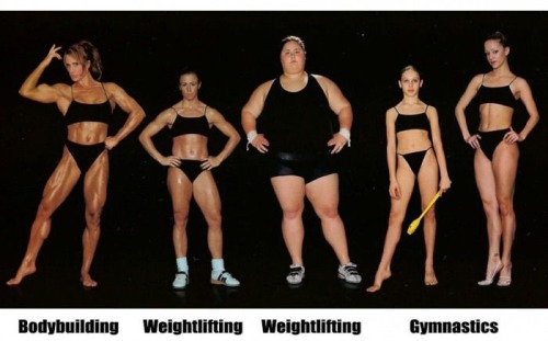 emt-monster:  Different body types for different sports.Source: Ebaums World