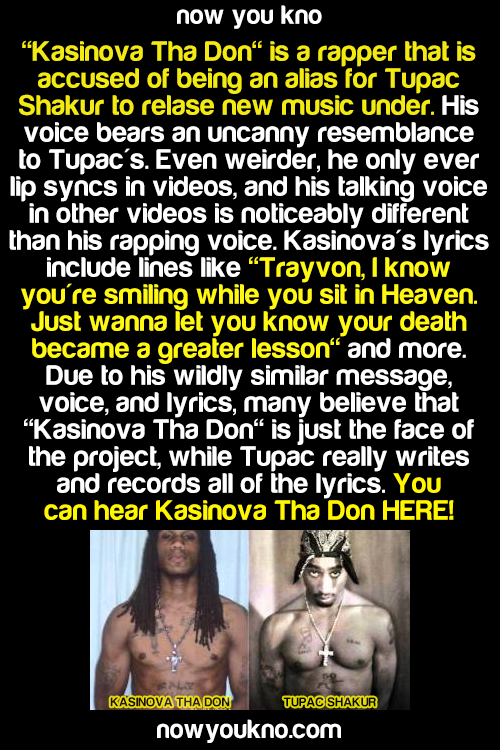 jaiking:  chynamama1:  zumainthyfuture:  brownglucose:  tsunamistorms:  grapes-of-laugh:  zachlilley:  order-sixtysix:  nowyoukno:  Source/music  Wow this literally sounds exactly like Tupac that’s crazy     HOLY SHIT STOP SCROLLING AND LISTEN TO THIS