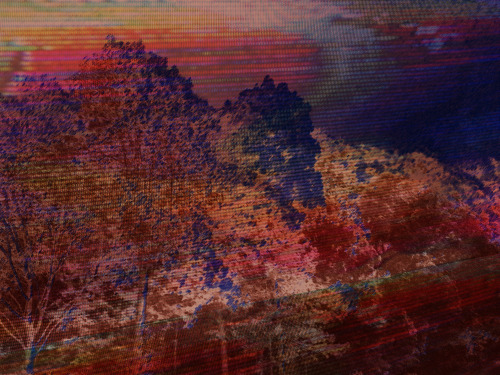 http://starkade35mm.tumblr.com/post/80543612948