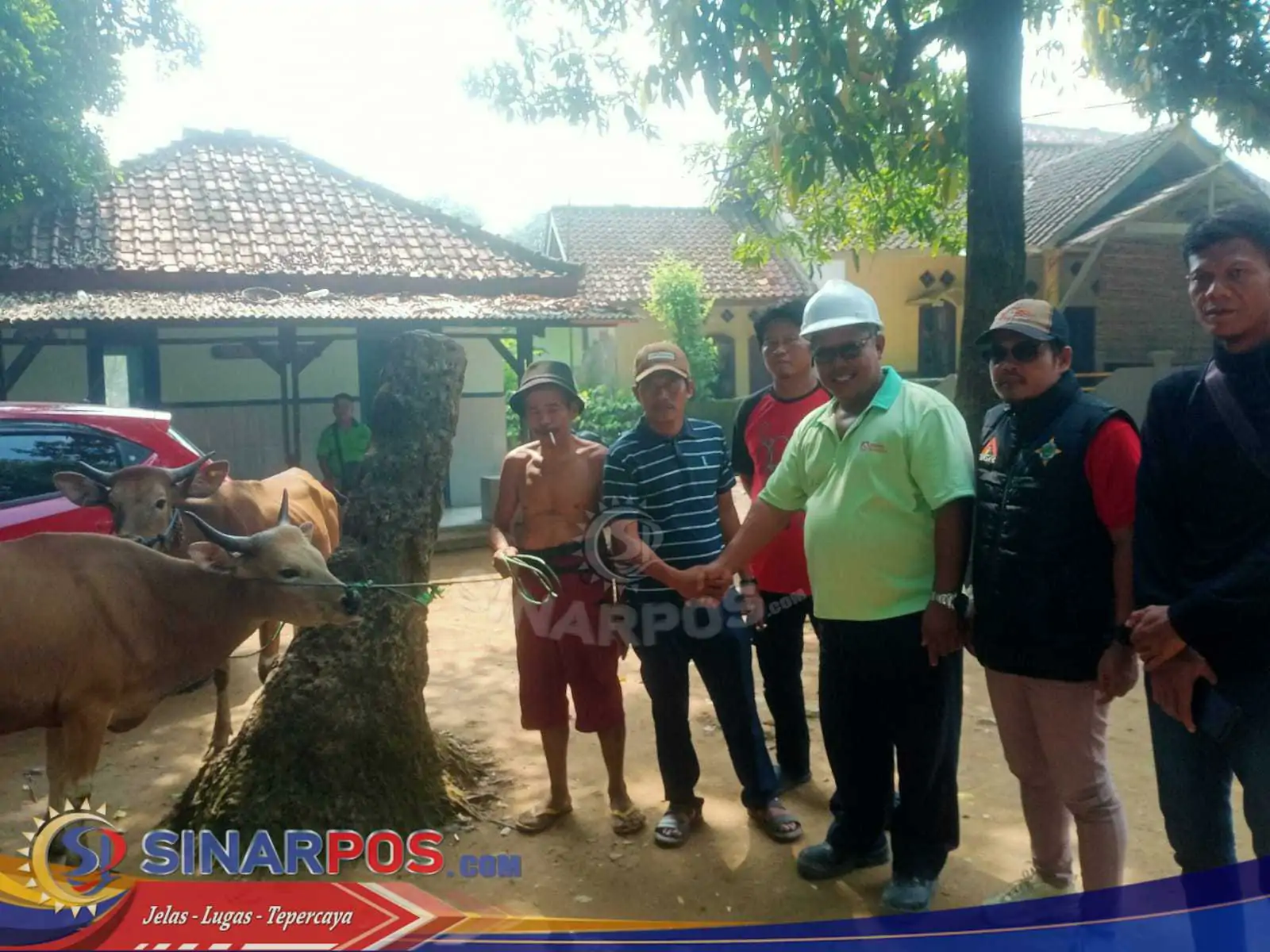 Jelang Hari Raya Idul Adha 1446 Hijriah 2025 PT Jui hsin Indonesia Bagikan Sapi Kurban Dan Kambing