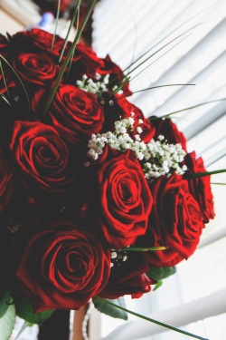 wearevanity:  | Lovley Roses | © 