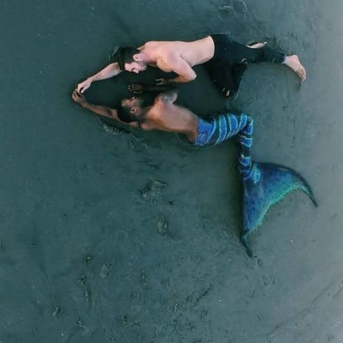 prideslime:  trans gay mermanx / x / x | x / x / x | x / x + x / x 