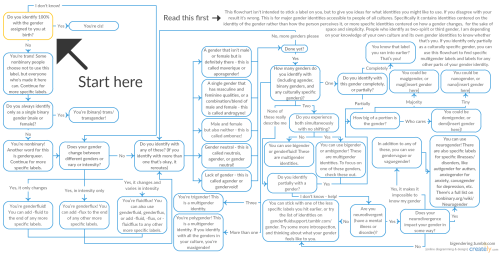 questioning-deminonbinary-nerd:bigendering:I made a gender flowchart! It’s not totally compreh