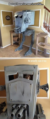 srsfunny:  Cat Househttp://srsfunny.tumblr.com/  Lol