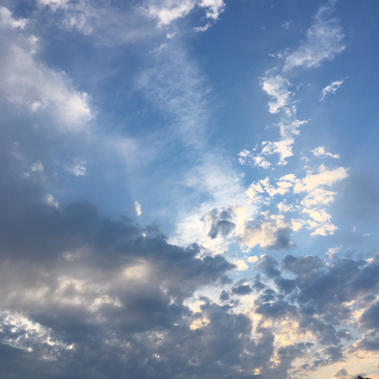 purrfectpeach:  Skies of May ‘17