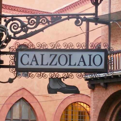 Calozolaio, Bologna, 2019.