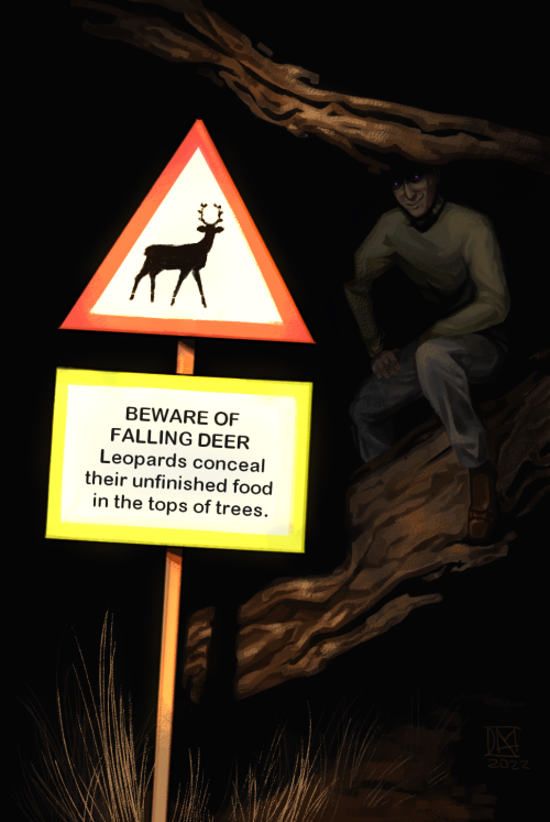 Roy snooping around some signs in his forest