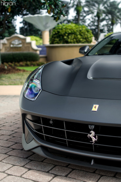 hilgramphoto:  F12 
