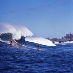 the60sbazaar:  Waimea Bay surfers photographed by Leroy Grannis  