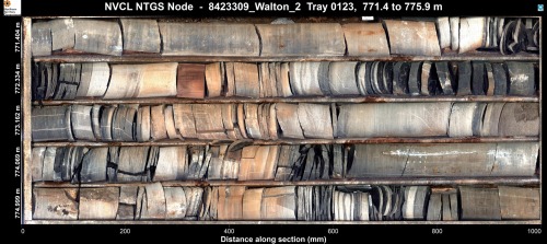 How do we see if the pieces fit?This is a core of sediment taken from the northeastern portion of Au